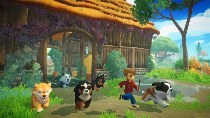 Image du produit Galaxy Games Everdream Valley SWITCH (Switch, Switch Lite, Switch OLED, DE)