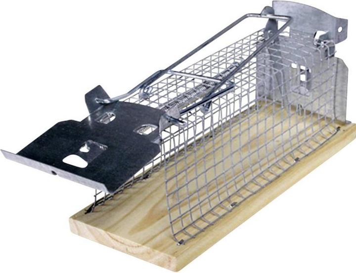 Image du produit Swissinno Souris Living Trap Classic 1 St