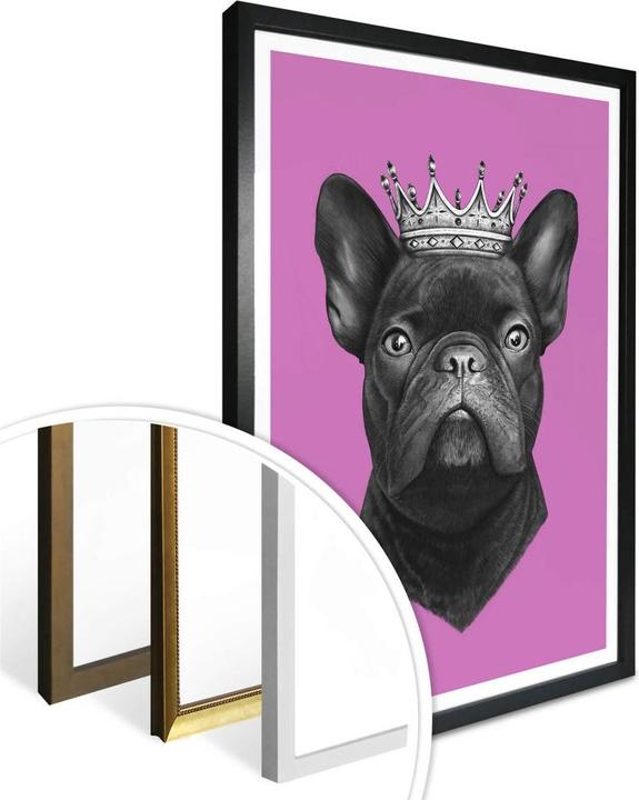 Image du produit Trenddeko King French Bulldog rose (100 x 120 cm)