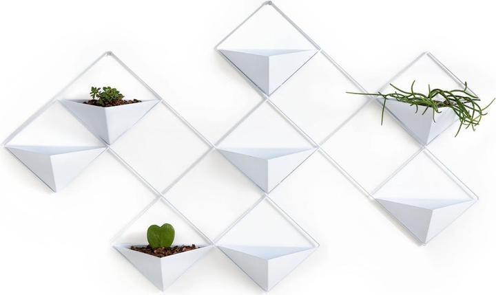 Actual product image La Redoute Interieurs Ikebana (11 cm)
