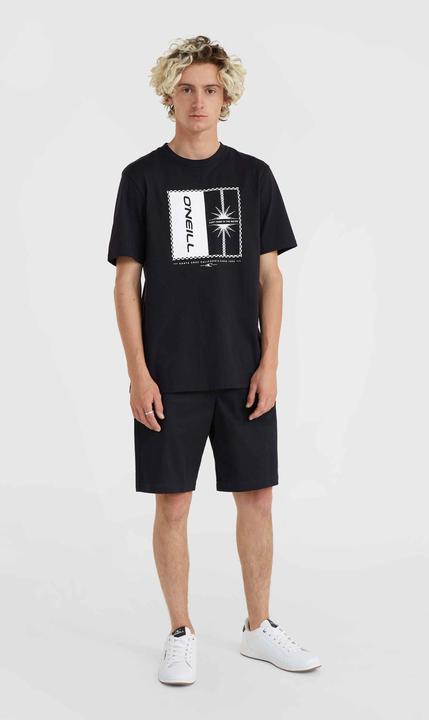 Produktbild O'Neill Essentials Chino Shorts (31)