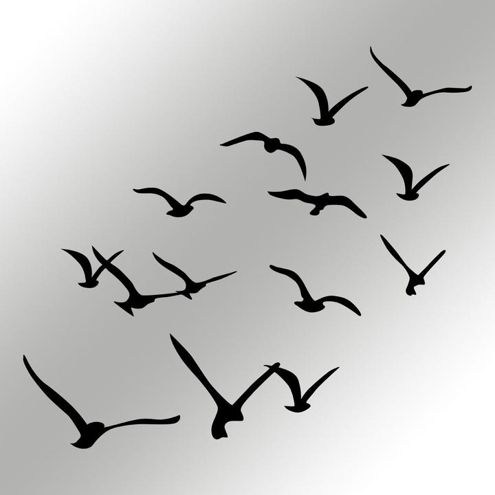 Actual product image Wallxpert Migration