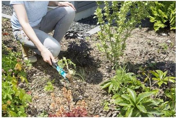 Actual product image Gardena spud