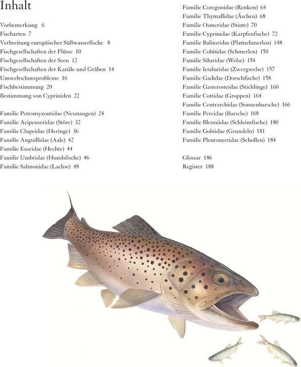 Produktbild Süsswasserfische (19 cm)