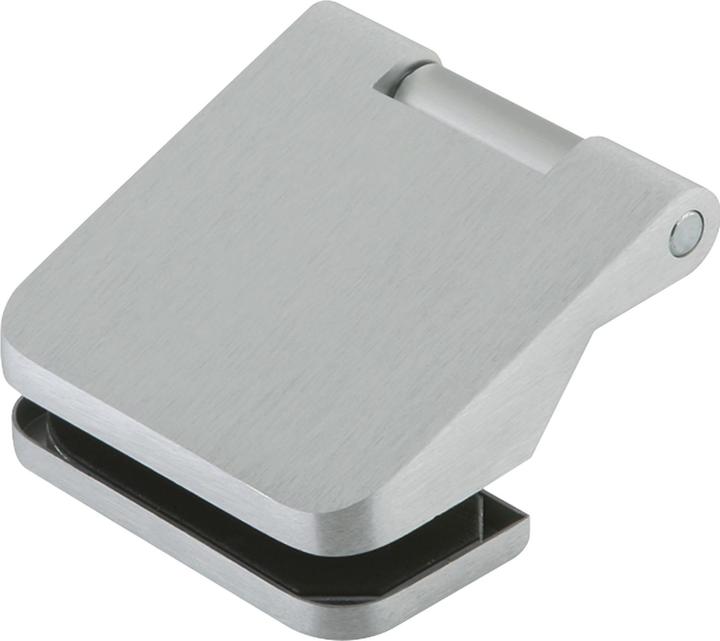 Actual product image Dormakaba Glass door hinge Junior Office