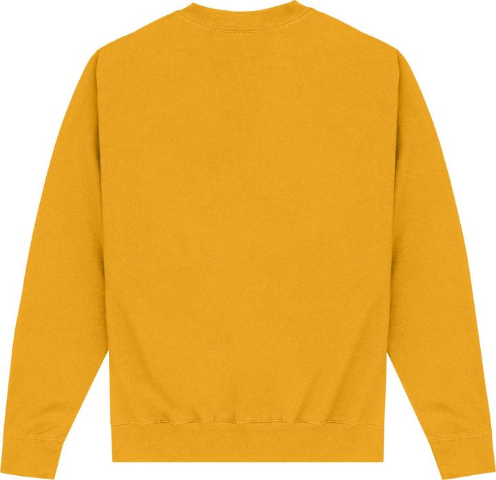 Actual product image Black Adam Unisex Adult Hawkman Sweatshirt (S)