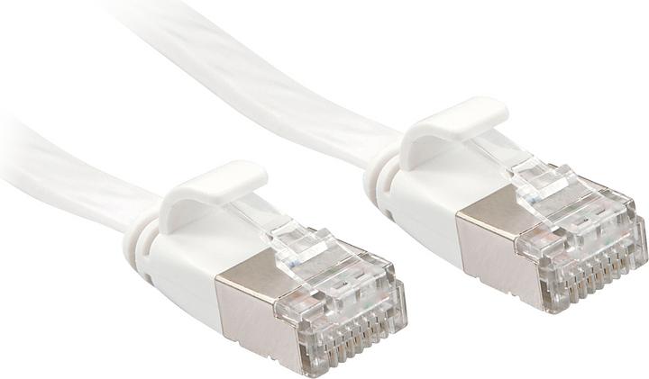 Lindy Cavo di rete (U/FTP, CAT6a, 10 m)