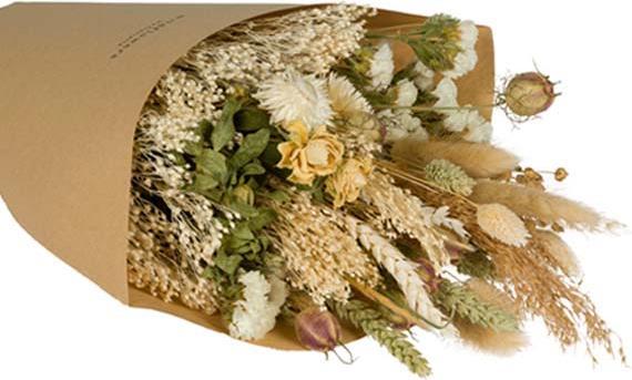 Actual product image Floramall Daisy (Dried flowers)