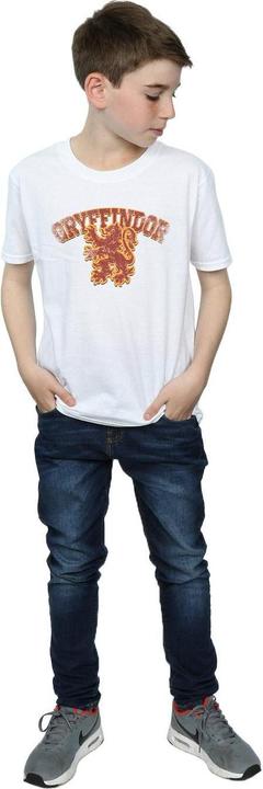 Produktbild Gryffindor Sport Emblem TShirt Jungen (152, 158)