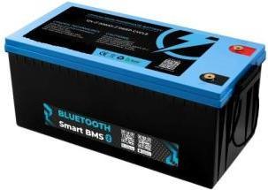 Rätikon Batterien LiFePO4 lithium battery 24 V 200 Ah with Bluetooth and BMS (24 V, 200 Ah)