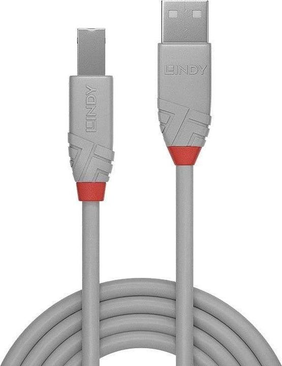 Produktbild Lindy USB/A-USB/B M-M (3 m, USB 2.0)