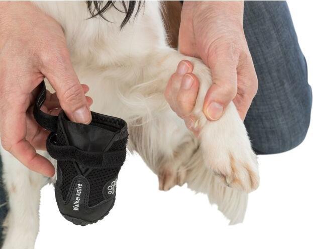 Produktbild Trixie Walker Active (XS, Hundeschuhe)