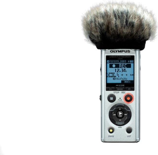 Immagine prodotto Olympus Ls-P1 (4 GB)