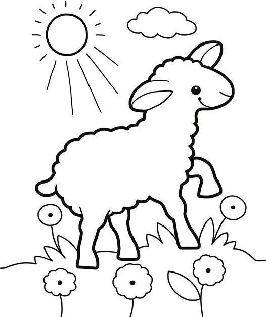 Image du produit Mon premier livre de coloriage de fenêtre Pâques