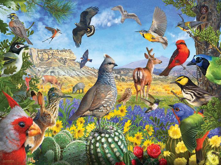 Produktbild Sunsout Puzzle 1000 pieces R. Christopher Vest - Texas Birds (1000 Teile)