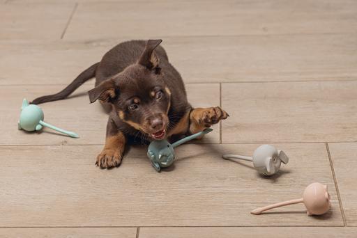 Actual product image Beeztees Mini Tails (Ball toy dog)