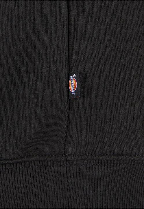 Actual product image Dickies Icon Logo Hoodie (XL)