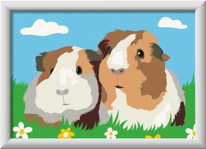Produktbild Ravensburger CreArt Serie E classic - Meerschweinchen