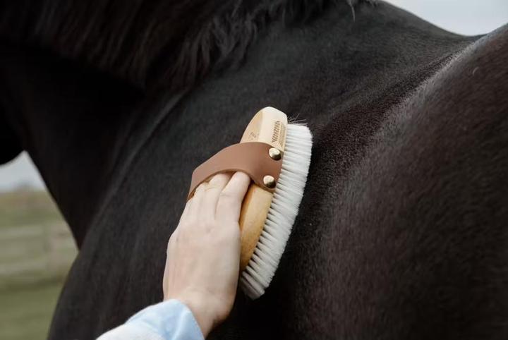 Grooming Deluxe Small soft brush with soft bristles for horses