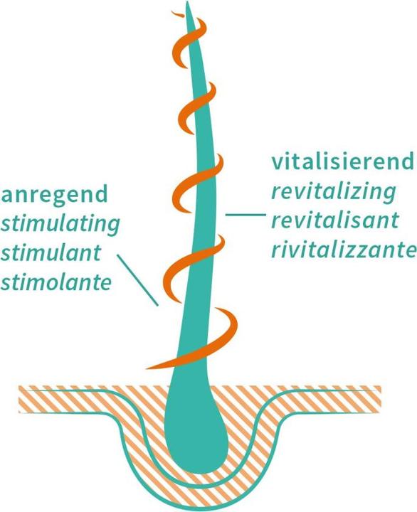 Image du produit Khadi Vitalité Croissance (50 ml)