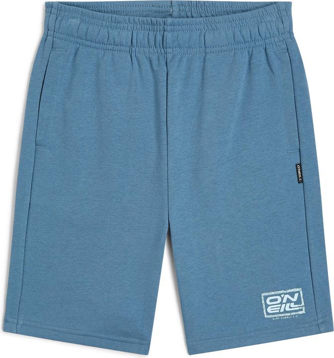 O'Neill Logo Sweatshorts