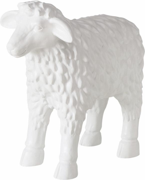 Boltze Home Drty