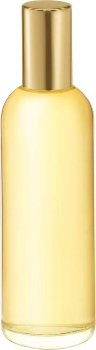 Produktbild Nina Ricci L'Air du Temps Refill (Eau de Toilette, 100 ml)