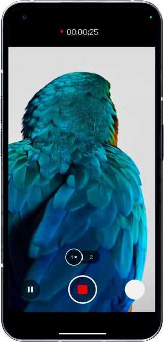 Image du produit Nothing Phone (1) (12GB) (256 Go, Blanc, 6.55", Double SIM, 50 Mpx, 5G)