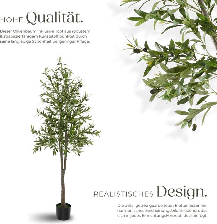 Produktbild tectake Olivenbaum Oleand (180 cm)