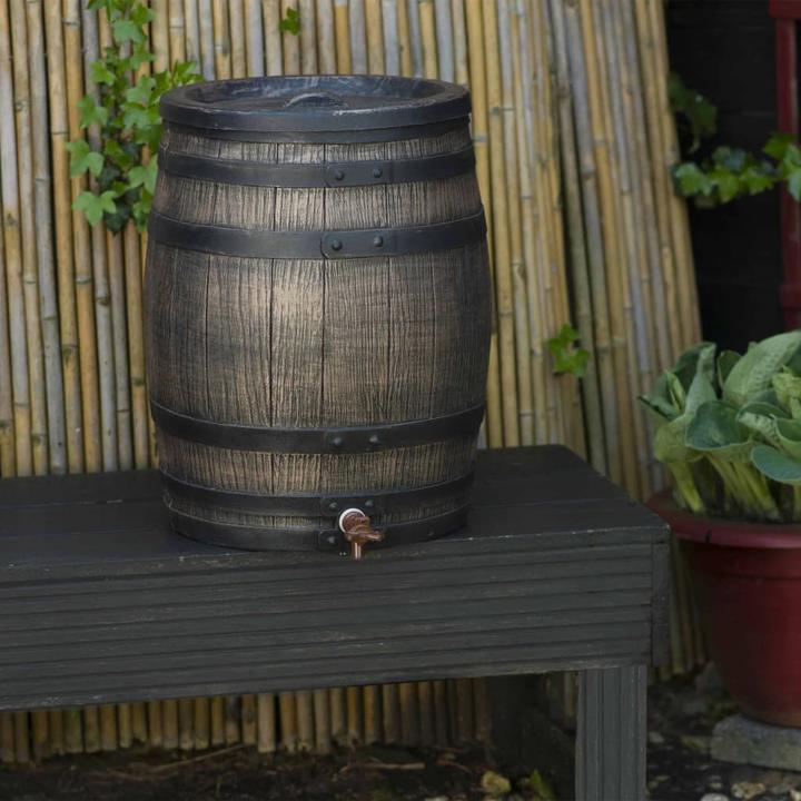 Image du produit Nature Regentonne (50 l)