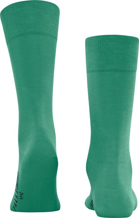 Produktbild Falke Cool 24/7 Herren (39 - 40)