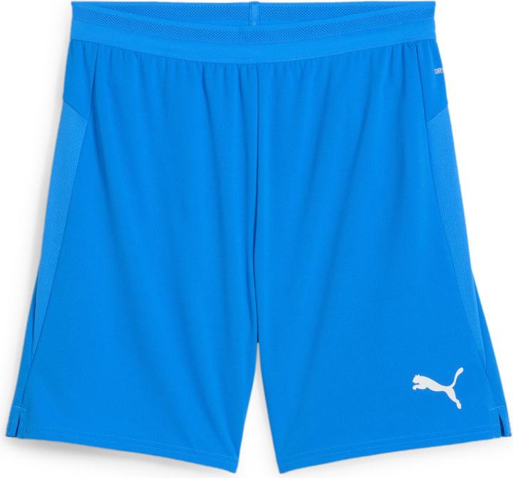 Puma teamCUP Shorts