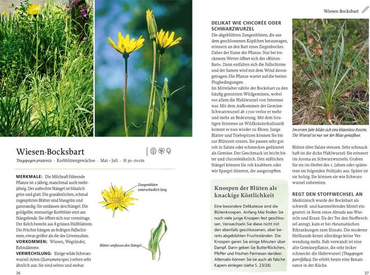 Produktbild Kosmos Unsere essbaren Wildpflanzen (Deutsch, Rudi Beiser, 2022)