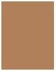Actual product image Bourjois Brow Reveal Automatic Eyebrow Pencil 01onde 0.35G (001 Blonde)