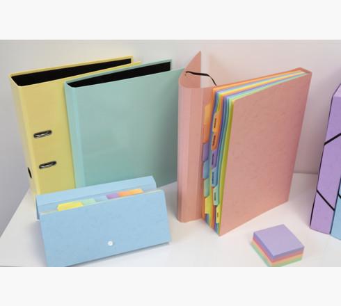 Actual product image Exacompta Ring binders (A4, 25 mm, 1 Piece)