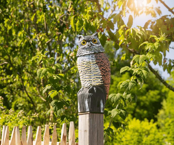 Actual product image Windhager Bird defence owl