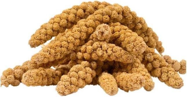 Actual product image Lyra Pet Foxtail millet (1 x, 1 kg)