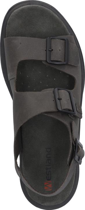 Actual product image Westland 45805-348 (44)