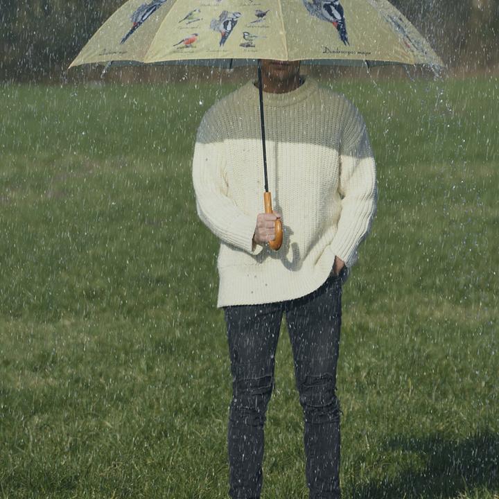 Produktbild Esschert Design Regenschirm Vögel