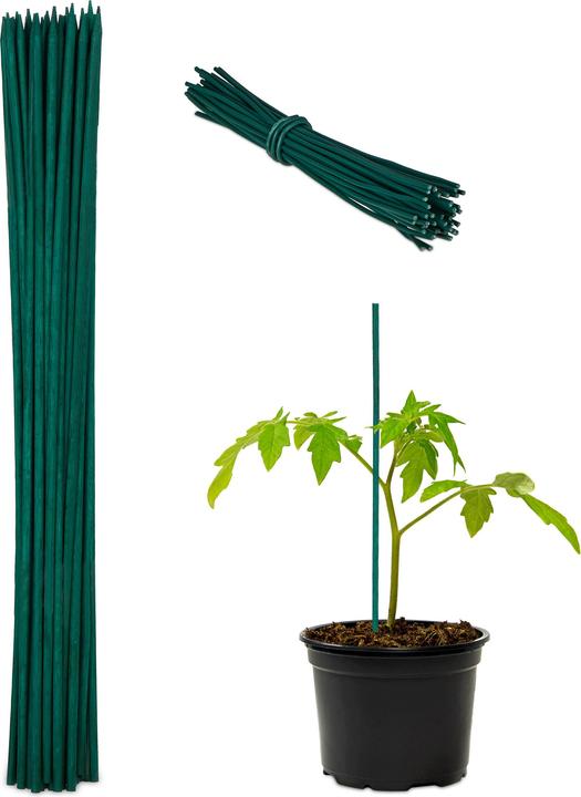Productafbeelding Relaxdays 50x plantstokjes (50 cm, 50 cm)