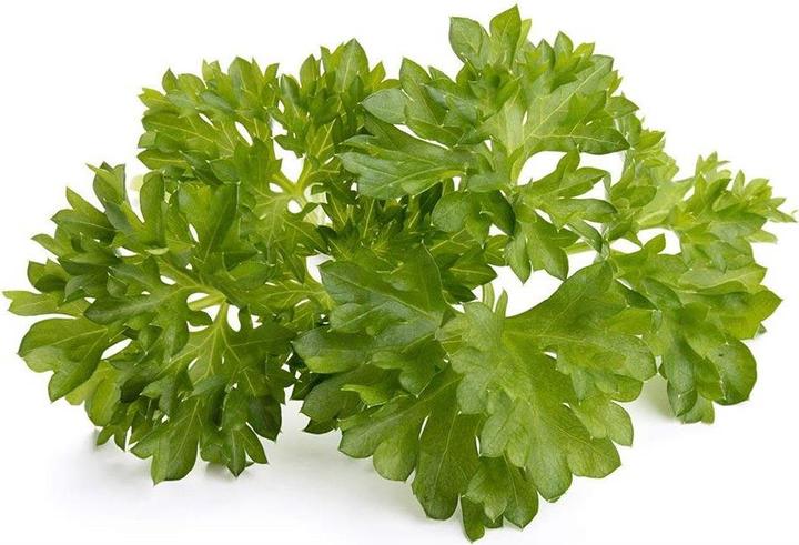 Image du produit Click and Grow Recharge persil (Graines d'herbes aromatiques)
