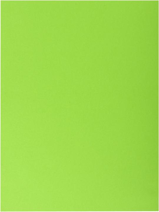 Immagine prodotto Exacompta Scrapbook - Copertine di file (A4, 100 x)