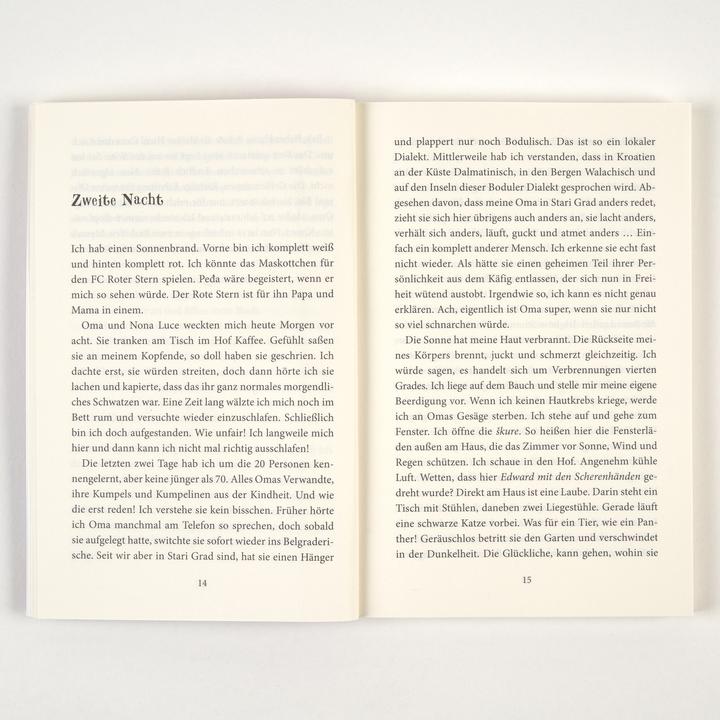 Produktbild Der Sommer, als ich fliegen lernte (Deutsch, Cornelia Niere, Marie Alpermann, Jasminka Petrovic, 2025)
