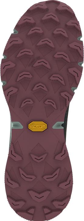 Produktbild Dynafit Ultra 100 Gtx W (39)