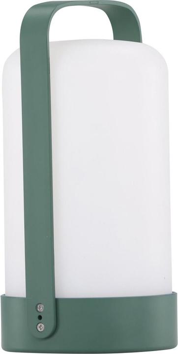 Produktbild Venture Home Fern (300 lm)