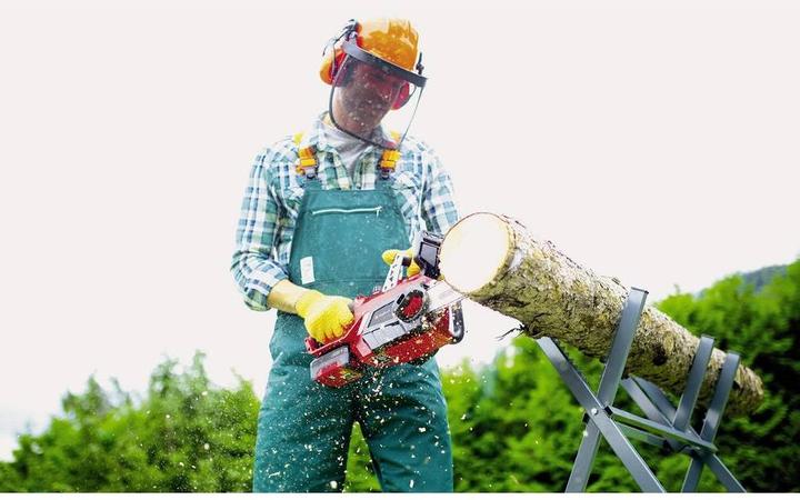 Actual product image Einhell Power X-Change GE-LC 18/25 Li Akku (Battery chain saw)