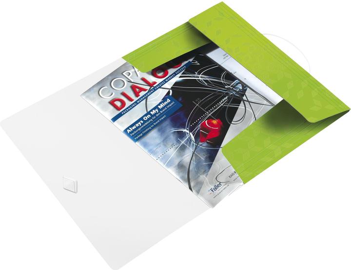 Image du produit Leitz Dossier WOW (A4, 1 x)