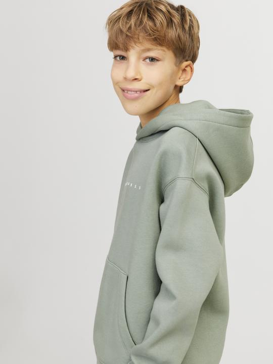 Produktbild Jack & Jones Jjestar Jj Sweat Hood Noos Jnr (176)