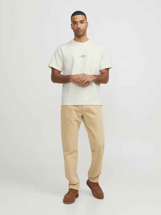 Immagine prodotto Jack & Jones T-shirt RDD stampata a girocollo (L)