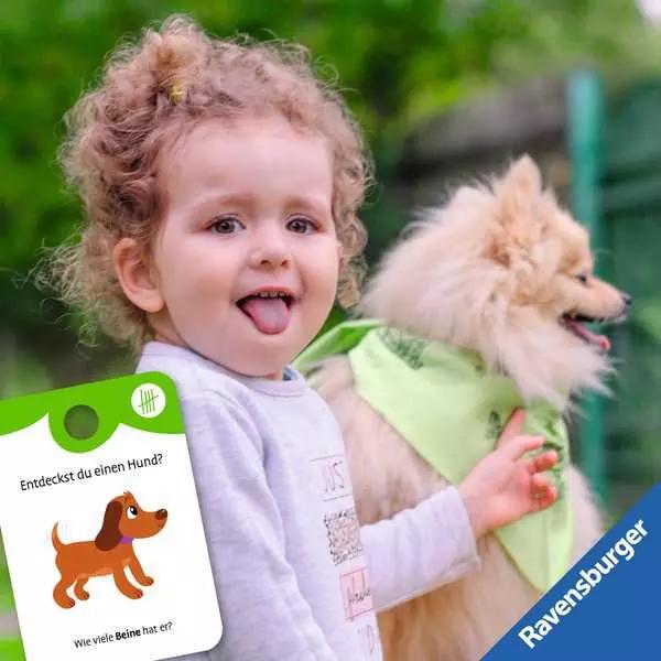 Actual product image Ravensburger Play+ game and Join in! Cards: Search for things: on the go - Activity cards for (German)